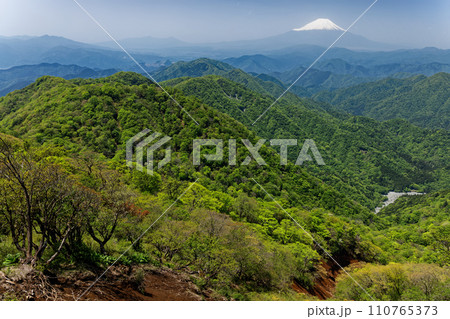 丹沢・塔ノ岳から見る残雪の富士山と新緑の鍋割山・ユーシン渓谷 110765373