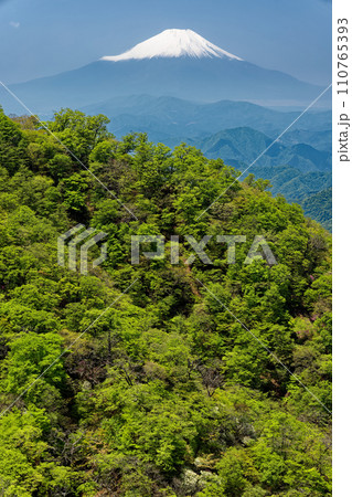 丹沢・塔ノ岳稜線から見る鍋割山稜のブナの新緑と富士山 110765393