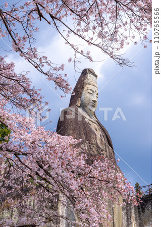 大谷観音と桜 大谷観音と桜 110765566