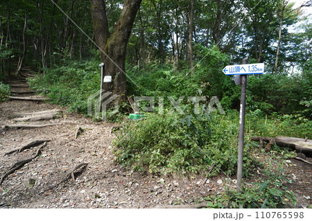 群馬県渋川市　水沢山　水沢観音側からの登山道　最初のベンチのある休憩場所　2023年10月2日 110765598