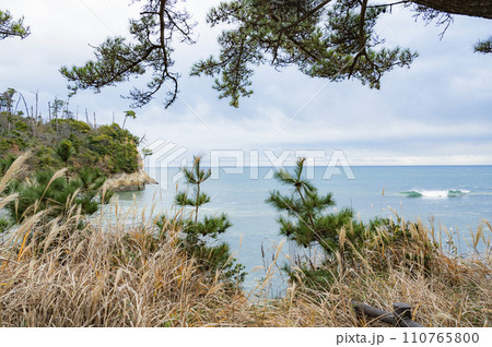 茨城　小貝ヶ浜緑地（日立市） 110765800