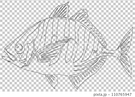 魚一筆畫圖 魚一筆畫圖 110765947