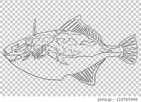 ウマヅラハギのシンプルイラスト 110765948