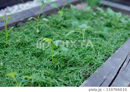 Mulching 110766010