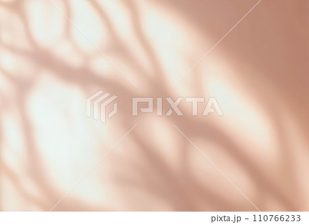 Minimalistic abstract gentle light orange background for product presentation with light and intricate shadow from tree branches on wall Minimalistic abstract gentle light orange background for product presentation with light and intricate shadow from tree branches on wall 110766233