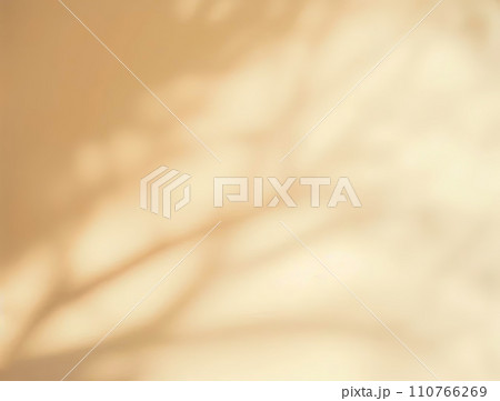 Minimalistic abstract gentle light yellow background for product presentation with light and intricate shadow from tree branches on wall Minimalistic abstract gentle light yellow background for product presentation with light and intricate shadow from tree branches on wall 110766269