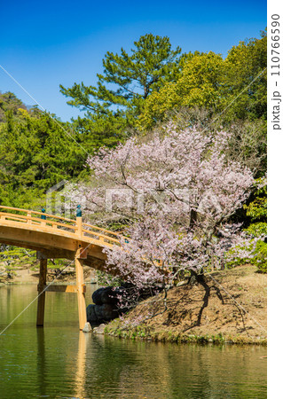 特別名所 栗林公園 偃月橋とエドヒガンザクラ 特別名所 栗林公園 偃月橋とエドヒガンザクラ 110766590