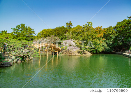 特別名所　栗林公園  偃月橋とエドヒガンザクラ 110766600