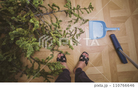 Fading Festivity: A Crumbled Christmas Tree's Farewell Scene Fading Festivity: A Crumbled Christmas Tree's Farewell Scene 110766646