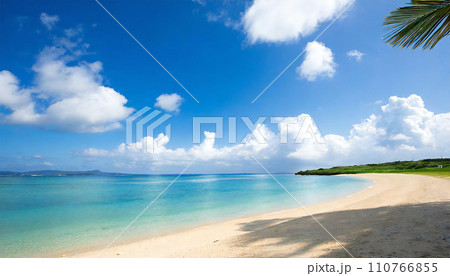 青空が広がる沖縄の海のイメージ 110766855