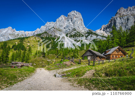 Wooden house in the forest, Ramsau am Dachstein, Austria 110766900
