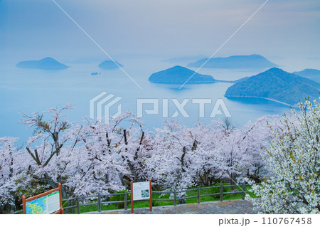 世界が認めた桜の名所　紫雲出山 110767458