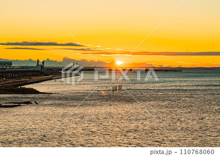 多摩川スカイブリッジ 初日の出 多摩川スカイブリッジ 初日の出 110768060