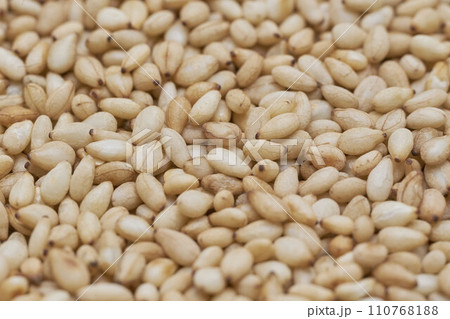 煎りごま 煎りごま 110768188