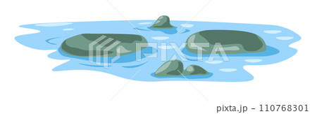 Rocks and stones in landscape pond, lake in nature 110768301