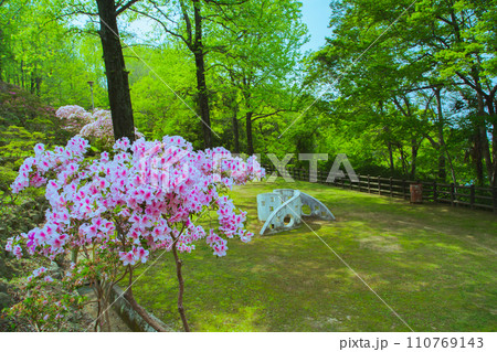 香川県仲多度郡多度津町 桃陵公園の自然 香川県仲多度郡多度津町 桃陵公園の自然 110769143