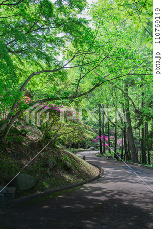香川県仲多度郡多度津町 桃陵公園の自然 香川県仲多度郡多度津町 桃陵公園の自然 110769149