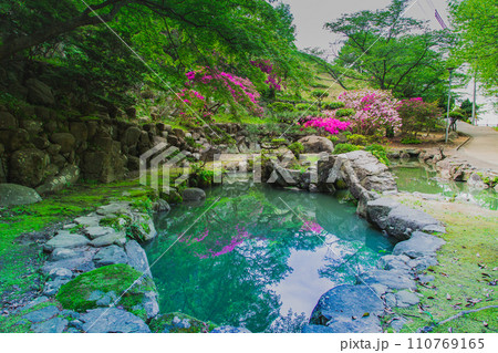 香川県仲多度郡多度津町　桃陵公園の自然 110769165