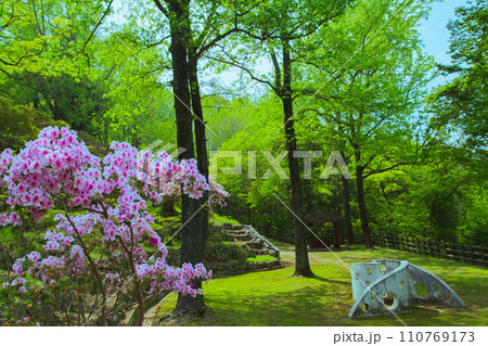香川県仲多度郡多度津町　桃陵公園の自然 110769173