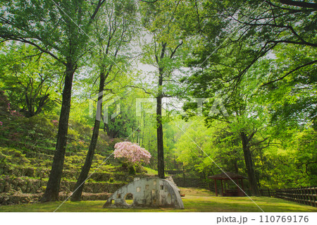 香川県仲多度郡多度津町　桃陵公園の自然 110769176