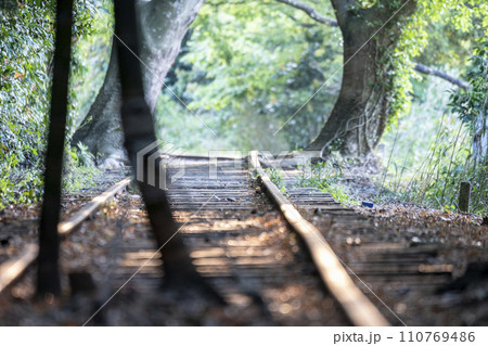 朝日で輝く倉吉線のレール　 110769486