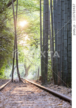 朝日で輝く倉吉線のレール　 110769487