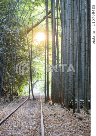 朝日で輝く倉吉線のレール　 110769488