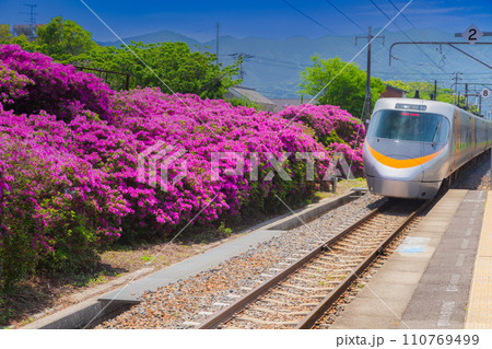 香川県観音寺市　JR豊浜駅のツツジ 110769499