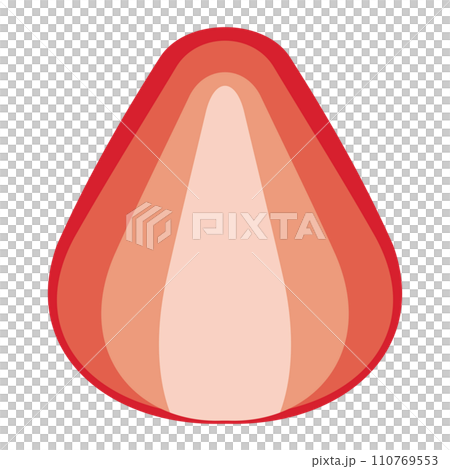 簡單可愛的草莓橫切面插圖（平面設計） 110769553