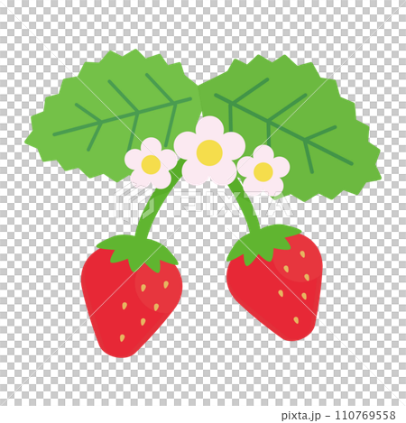 Simple and cute strawberry leaf and flower illustration (flat design) Simple and cute strawberry leaf and flower illustration (flat design) 110769558
