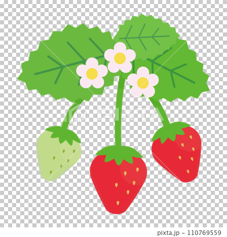 シンプルでかわいいイチゴの葉と花のイラスト(フラットデザイン) シンプルでかわいいイチゴの葉と花のイラスト(フラットデザイン) 110769559