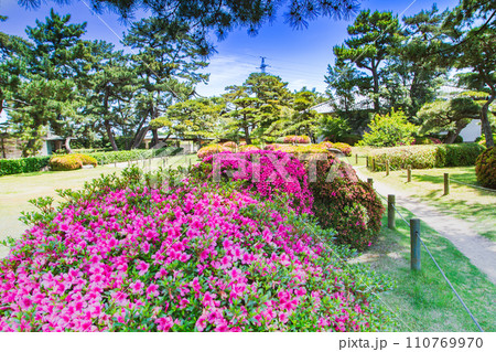香川県丸亀市　中津万象園 110769970