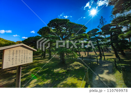 香川県丸亀市 中津万象園 香川県丸亀市 中津万象園 110769978