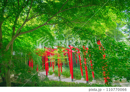 香川県丸亀市 中津万象園 香川県丸亀市 中津万象園 110770066