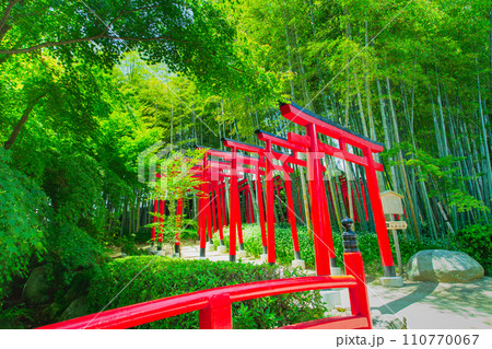 香川県丸亀市　中津万象園 110770067