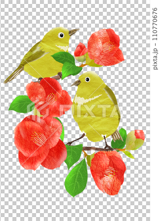 鳥と椿のイラスト 110770676