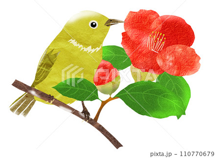 赤い花と小鳥の可愛いイラスト 110770679