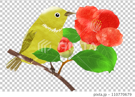赤い花と小鳥の可愛いイラスト 110770679