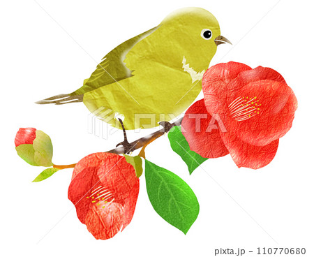 かわいい野鳥のイラスト 110770680