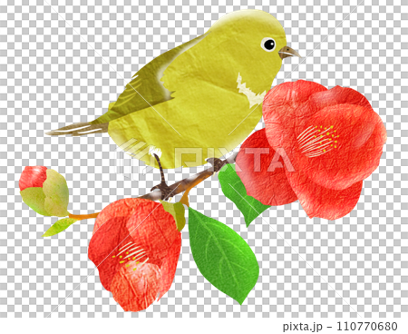 かわいい野鳥のイラスト 110770680