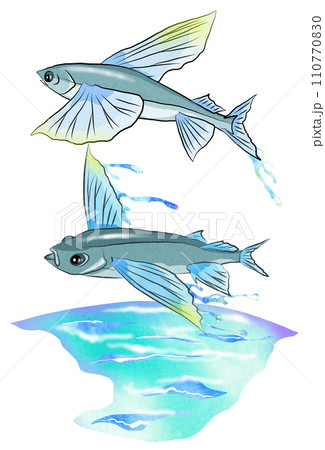 トビウオの背景有りイラスト 110770830