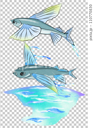 トビウオの背景有りイラスト 110770830
