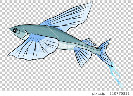 會飛的飛魚的插圖 110770831
