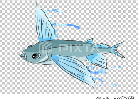 可愛いトビウオのイラスト 110770832