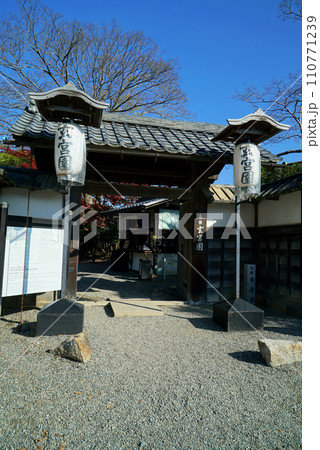 碧い空と玄宮園秋景色 110771239