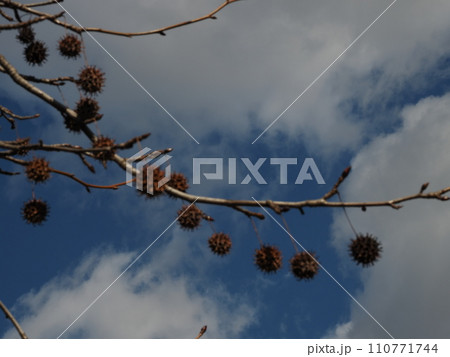 冬の風景 110771744