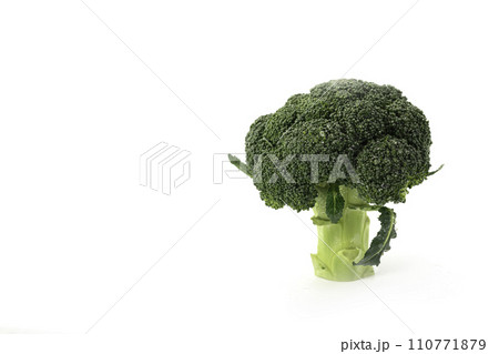 ブロッコリー　白背景 110771879