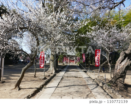 天神様の細道 (埼玉県川越市) 天神様の細道 (埼玉県川越市) 110772139