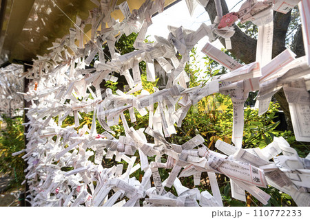 the Omikuji sheets that predict one's future outside a temple in Tokyo, Japan the Omikuji sheets that predict one's future outside a temple in Tokyo, Japan 110772233