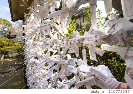 the Omikuji sheets that predict one's future outside a temple in Tokyo, Japan 110772257